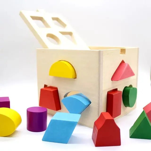 Fifteen 15 Holes Shapes Intelligence Box – shapes box - MyLittleTales