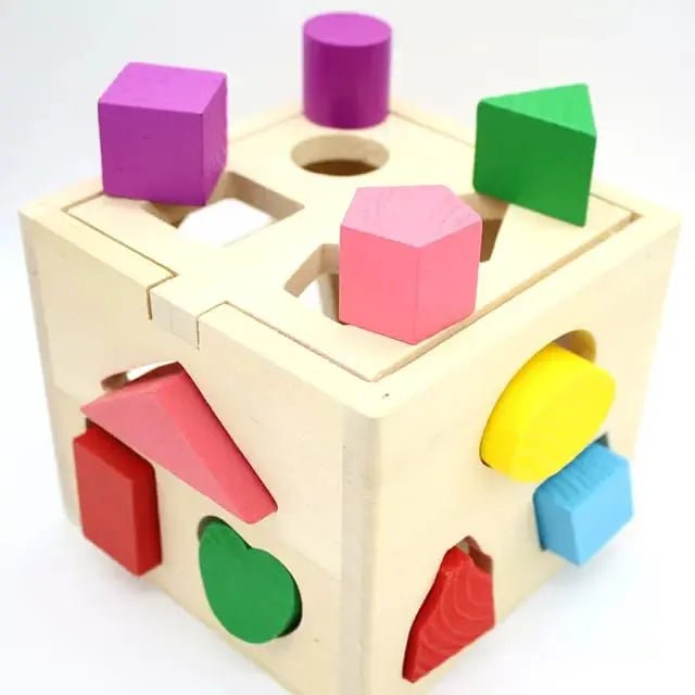 Fifteen 15 Holes Shapes Intelligence Box – shapes box - MyLittleTales