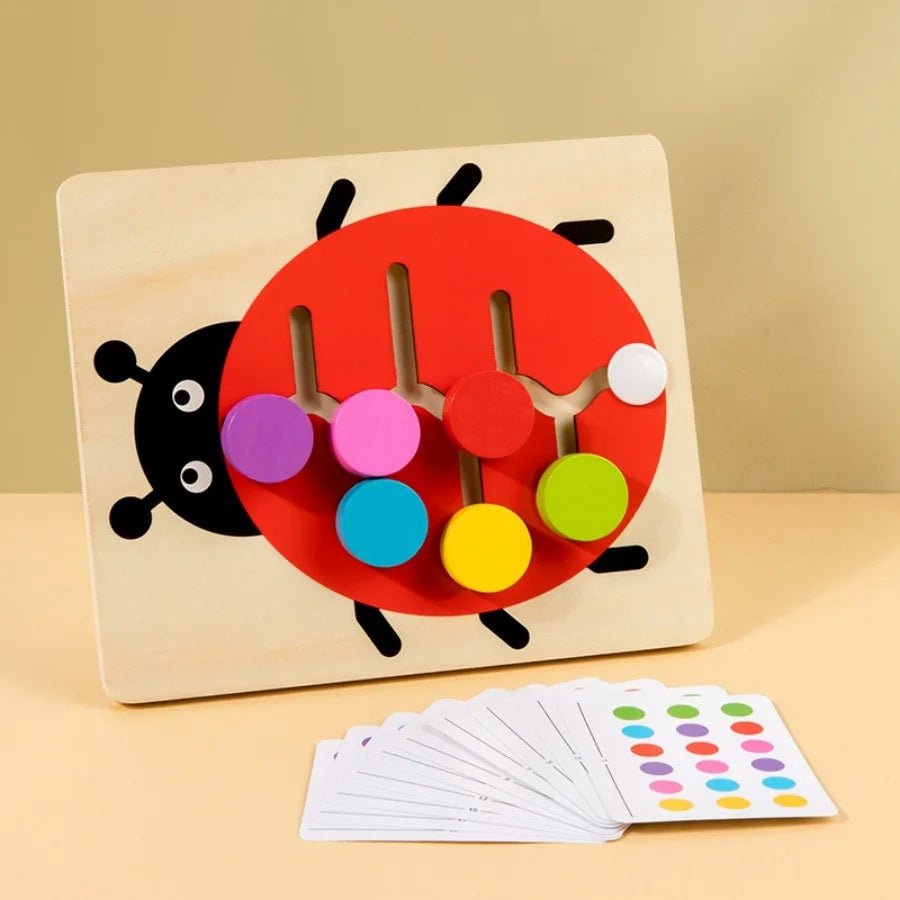 Montessori Color Matching Slide Puzzle – Educational Logic Board Game for Toddlers - MyLittleTales
