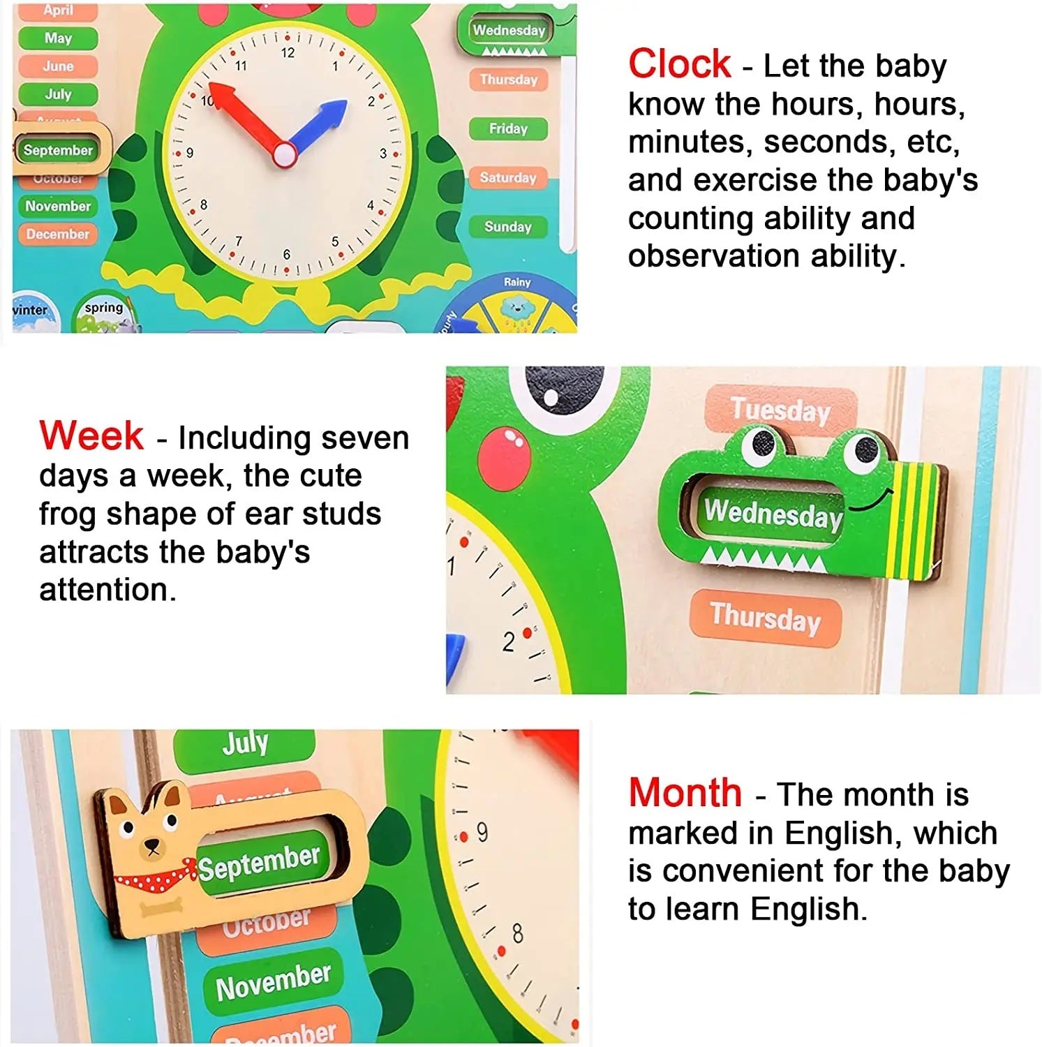 Montessori Wooden Frog Clock Toys For Kids,Learning Calendar,Weather,Season,Time,Week,Early Educational Toy - MyLittleTales