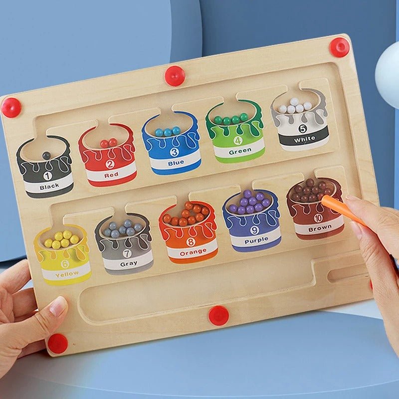 Wooden Color Classification Maze, Color Sorting Board - MyLittleTales
